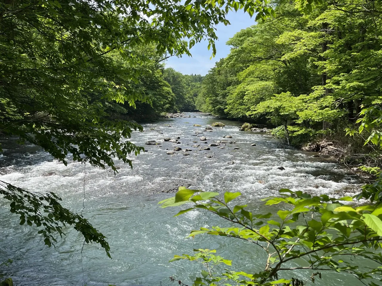 奥入瀬・十和田湖2泊3日：新緑の絶景を楽しむ1人旅のアイキャッチ画像
